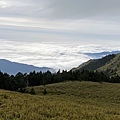 E544B125-8186-42BC-B62F-5902D19B38C1.jpeg