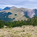 F31269CE-A2E1-4071-B7C3-3237589C8E88.jpeg