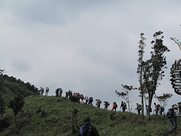 鴻子山健行 (57)