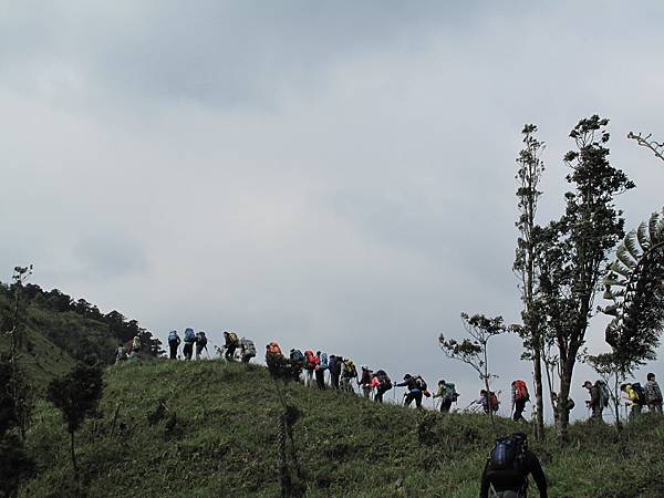 鴻子山健行 (58)