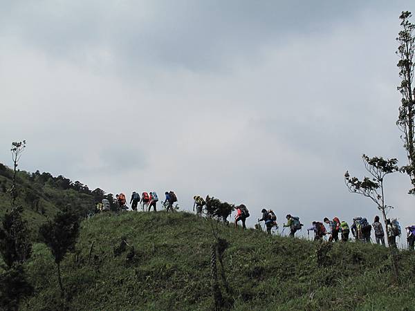 鴻子山健行 (59)