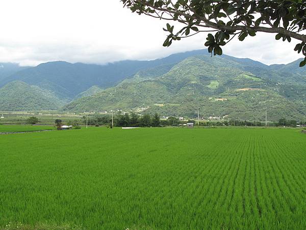 雲朵六花東鐵馬行 (310)