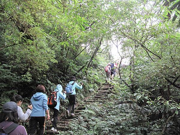 101年桶后古道 (39)