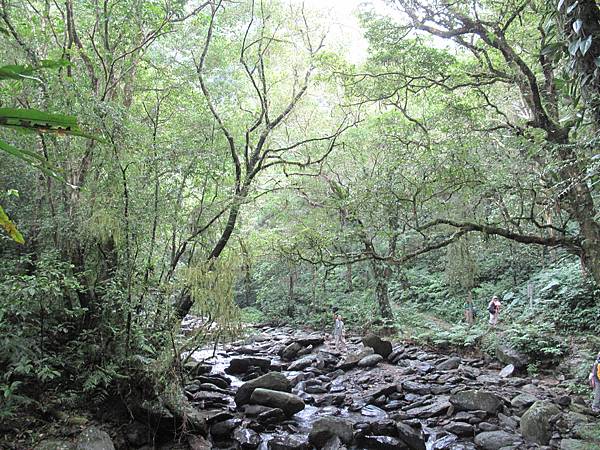 101年桶后古道 (75)