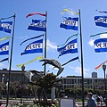 IMG_0059.JPG