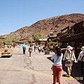 SUC59781.JPG