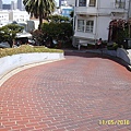 SUC58796.JPG