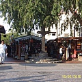SUC59947.JPG