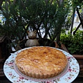 walnut pie.jpg