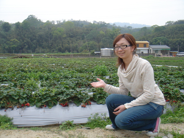 草莓園