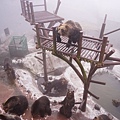 007 熊牧場內 - 072.jpg