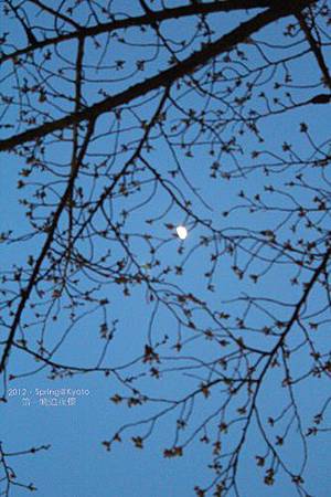 IMG_7752 IMG_7752