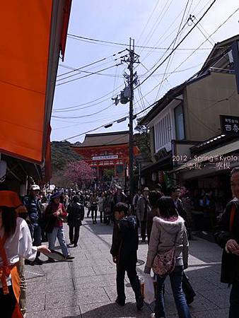 R0047017 R0047017