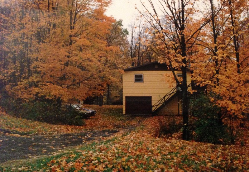 二十六年（四：紅毯之後）