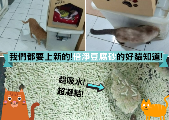 8.png 試用