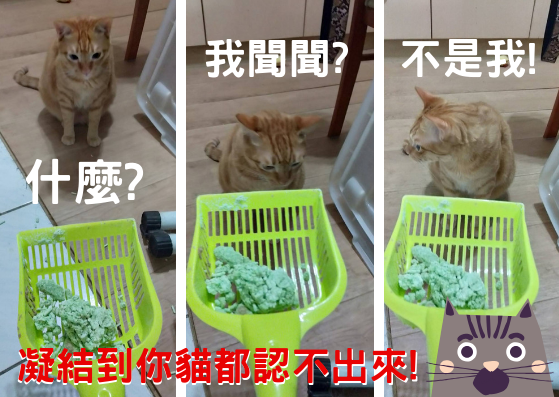 4.png 試用