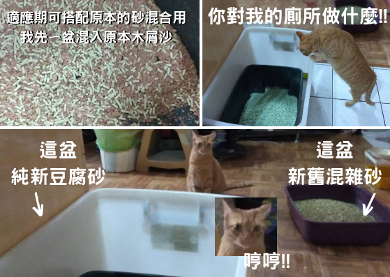 7.png 試用