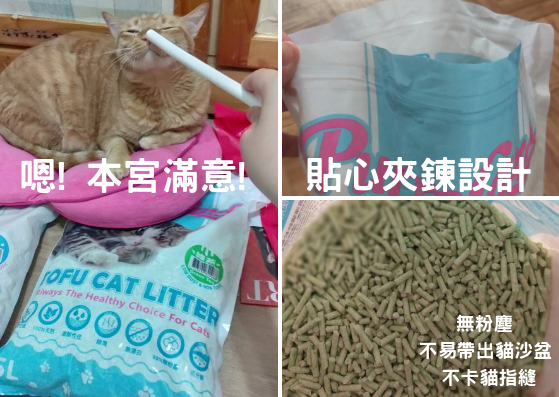 6.png 試用
