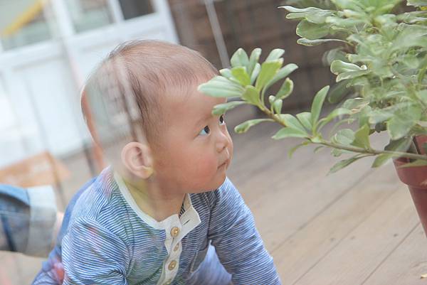 IMG_1179.JPG IMG_1179.JPG