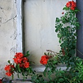 IMG_5518.jpg