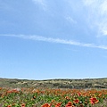 IMG_2308.JPG