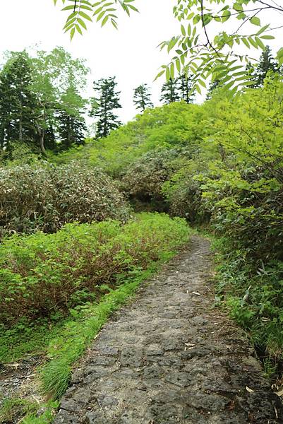 IMG_1236.JPG IMG_1236.JPG