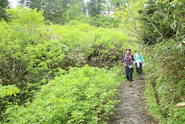 IMG_1234.JPG IMG_1234.JPG