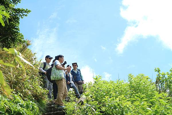 IMG_1247.JPG IMG_1247.JPG