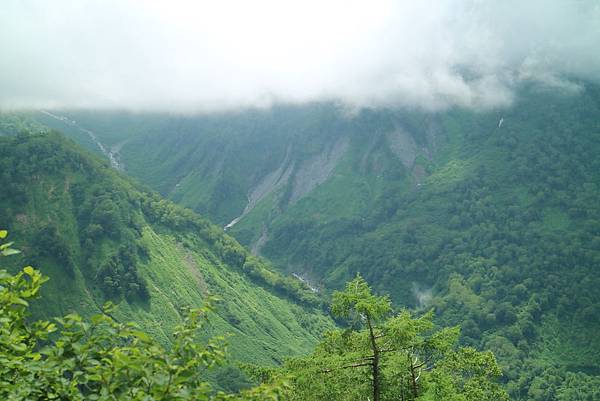 IMG_1254.JPG IMG_1254.JPG