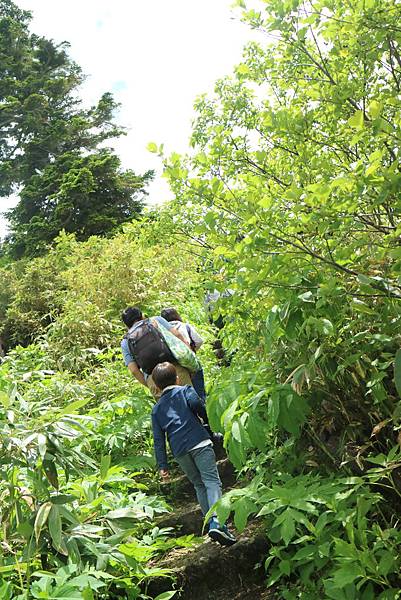 IMG_1246.JPG IMG_1246.JPG