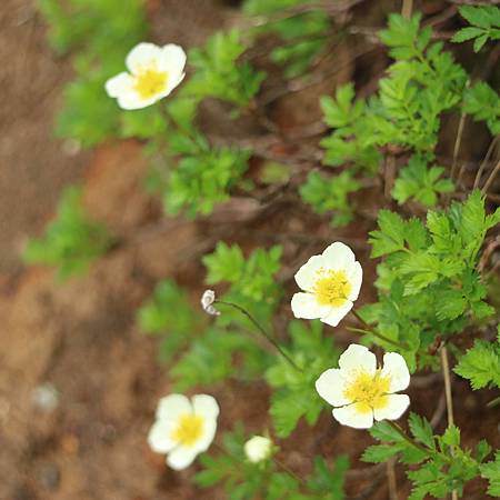 IMG_1268.JPG IMG_1268.JPG