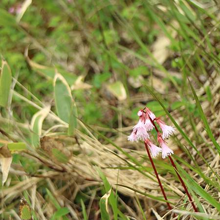 IMG_1269.JPG IMG_1269.JPG