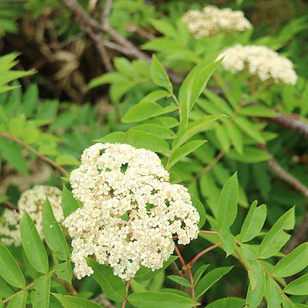 IMG_1299.JPG IMG_1299.JPG