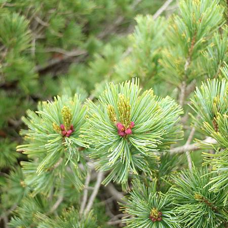 IMG_1361.JPG IMG_1361.JPG