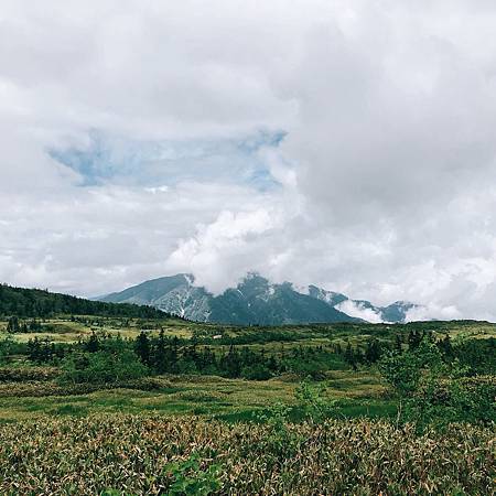 IMG_3401.JPG IMG_3401.JPG