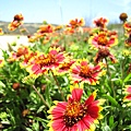 IMG_2305.JPG