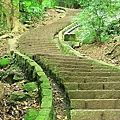 IMG_2646.jpg