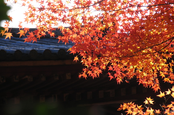 神護寺