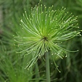 IMG_1164.JPG