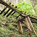 IMG_0695.JPG