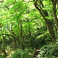 IMG_0808.JPG