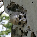 IMG_3904.JPG