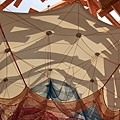 IMG_1216.jpg