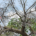 IMG_1434.JPG