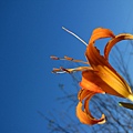 IMG_3243.JPG