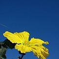 IMG_3270.JPG