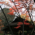 IMG_9901.jpg