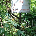 IMG_7115.JPG