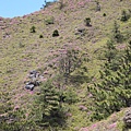 IMG_1266.JPG