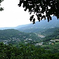 IMG_2665.jpg